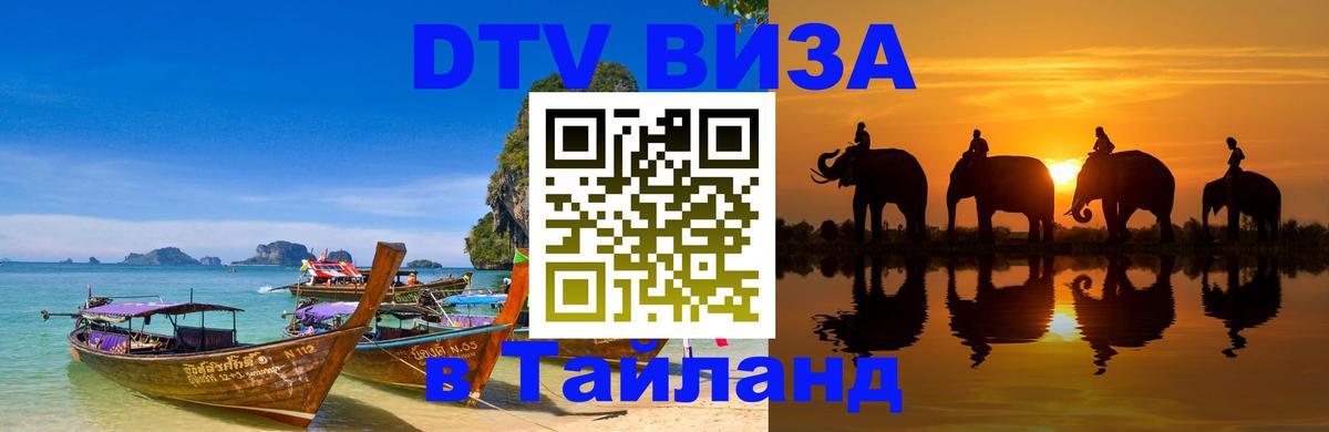 Сколько стоит DTV виза — актуальные цены, оформление даже без документов - 03.10.2025 